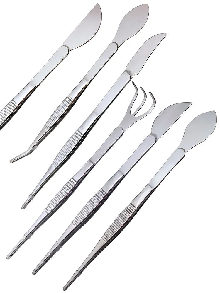 1pc 2-in-1  304 Stainless Stee - Scissors Stainless Craft ulasan dan harga
