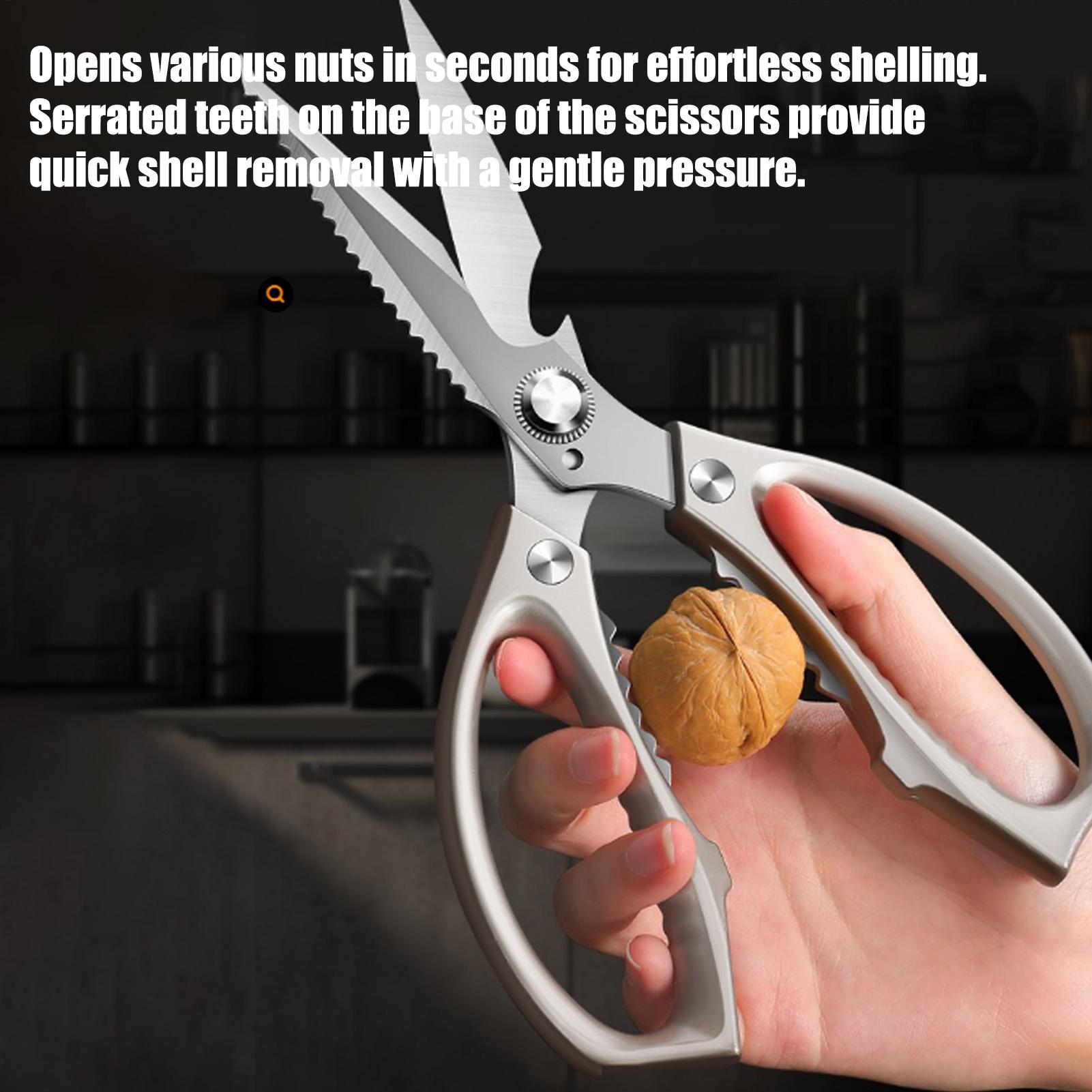Food Scissors Stainless Steel  - Scissors Stainless Craft ulasan dan harga
